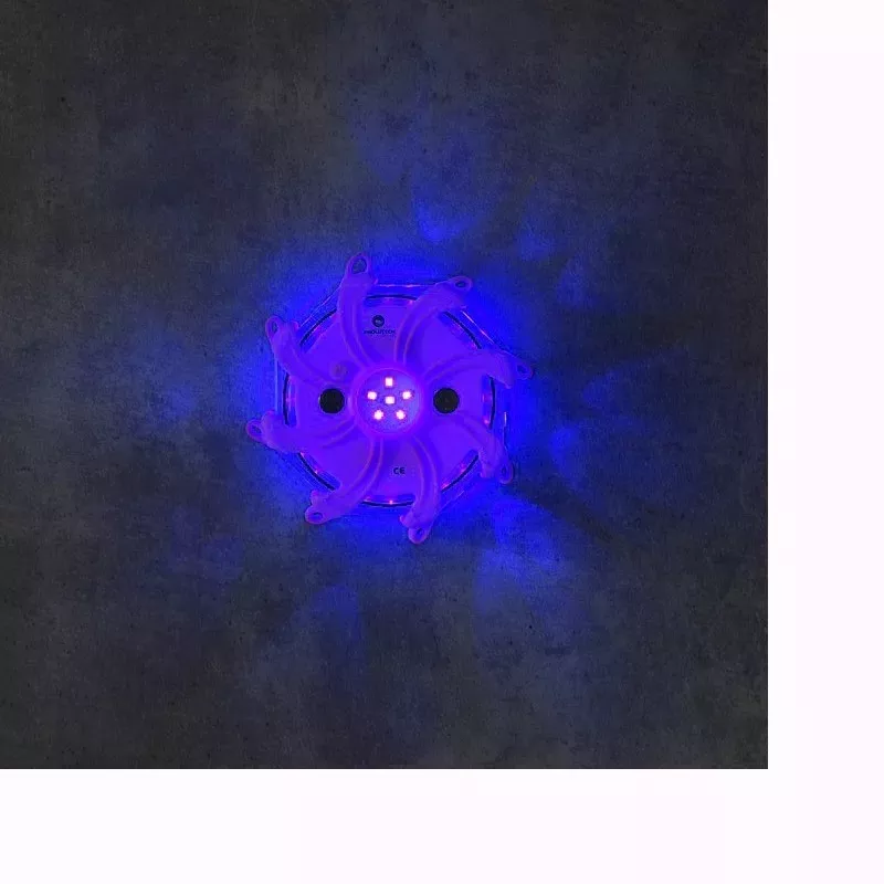 Balise LED bleue Prolutech pour valise BS5 K-Sign