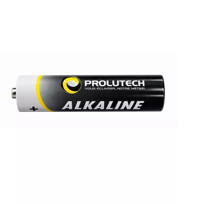 Piles professionnelle alcaline AA Prolutech